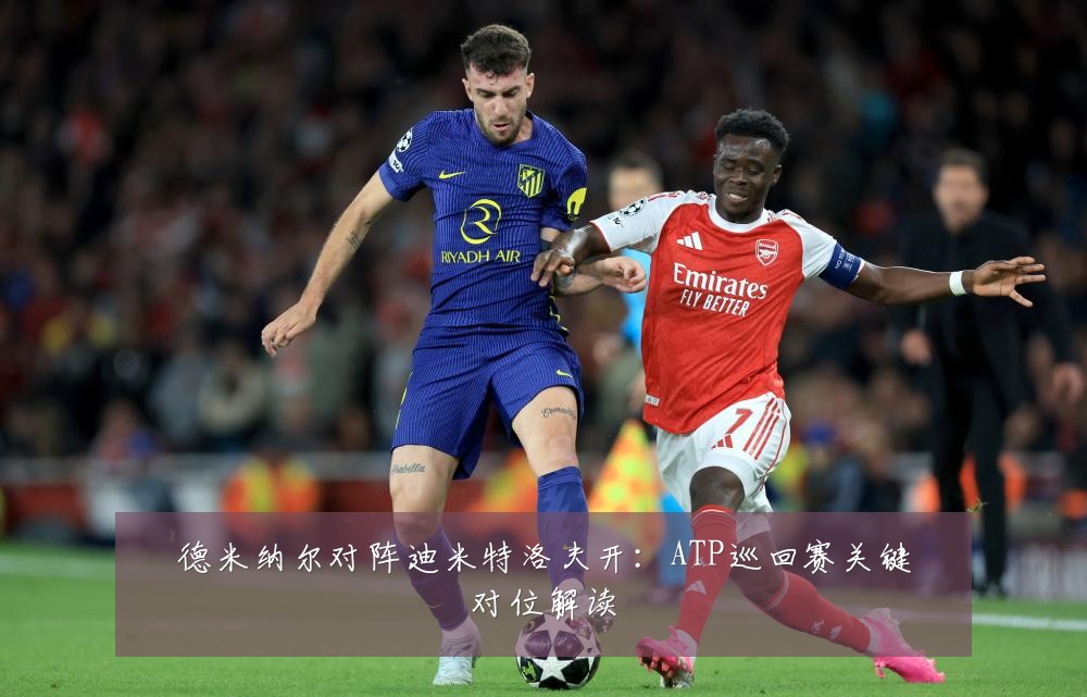 德米纳尔对阵迪米特洛夫开：ATP巡回赛关键对位解读